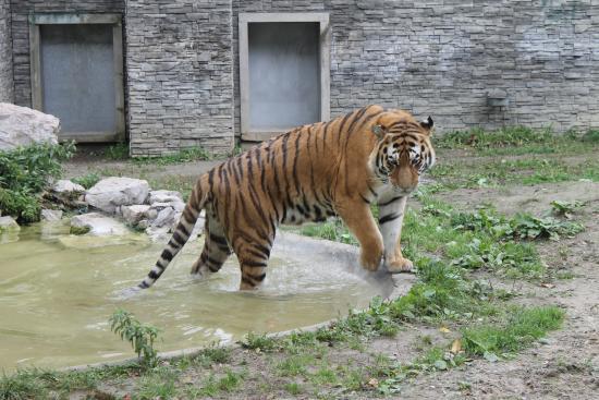 Krakow Zoologiske Have